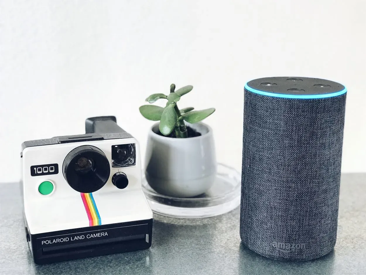 Amazon Alexa Speaker beside a plant and a polaroid camera.