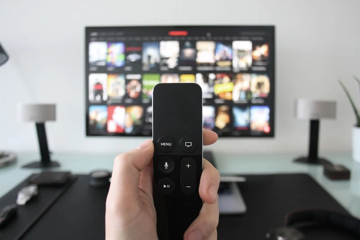 TV remote controlling Netflix.