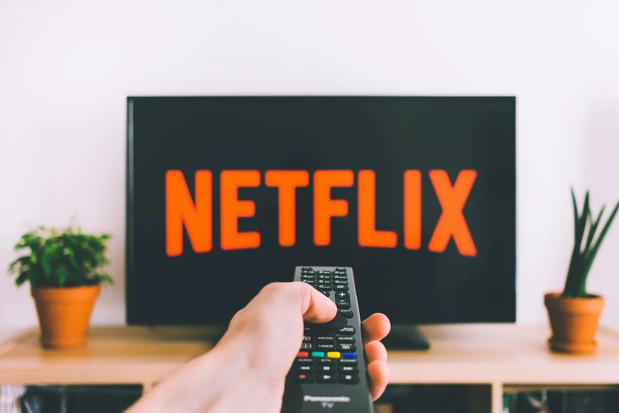 hand holding a tv remote while the Netflix logo projects on screen
