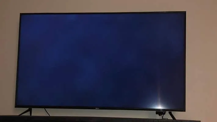 Vizio Tv svart skjerm av død