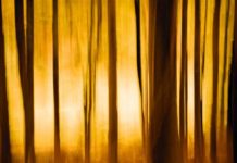 10 důvodů, proč jsou vaše fotografie rozmazané