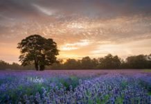 21 základních tipů pro fotografování krajiny, které potřebujete vědět