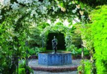 Jak zachytit skvělé zahradní scény a květinové záběry