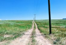 Ofcom vyzval k odstranění venkovních 4G bodů