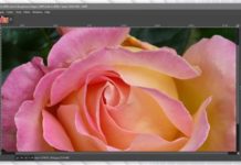 Recenze GIMP a kde stáhnout recenzi