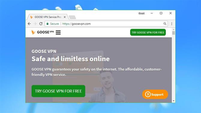 Revisión de Goose VPN